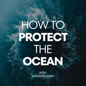 How To Protect The Ocean by Andrew Lewin