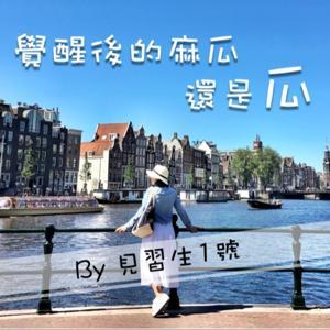 覺醒後的麻瓜還是瓜 by 見習生1號