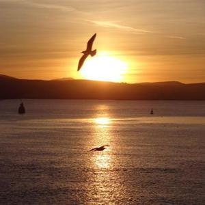 Ruach Breath of Life by Ruach Breath of Life