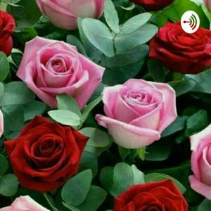 قران by Amene Nazariazad