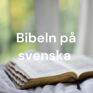 Bibeln på svenska by DR