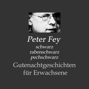 Gutenachtgeschichten für Erwachsene by Peter Fey