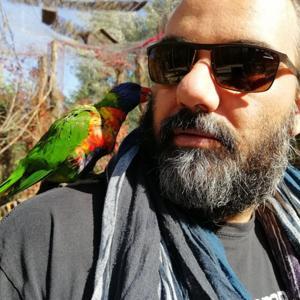 PunkinDev by Punkin Dev