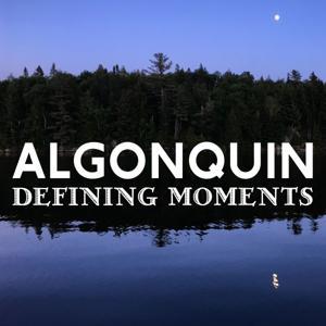 ALGONQUIN DEFINING MOMENTS by Gaye Clemson