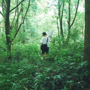 雨声催眠 大自然的声音 自然声音 白噪音 by 声谷