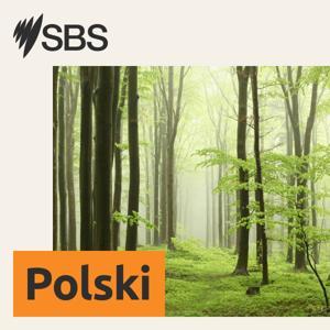 SBS Polish - SBS po polsku by SBS