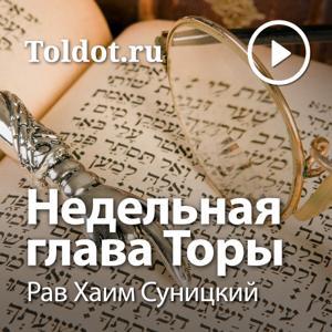 Рав Хаим Суницкий  — Недельные главы Торы by toldot.com