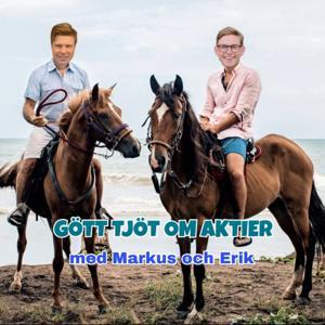 Gött Tjöt om Aktier by Markus Gedda och Erik Lundberg