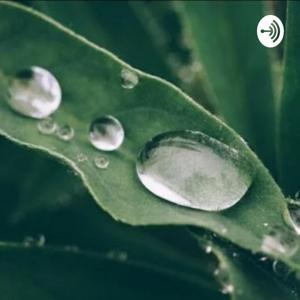 Tfilat Tal by William Allen