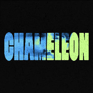 Chameleon by Campside Media
