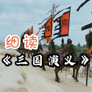 细读《三国演义》全本｜解码乱世权谋中的生存智慧 by 尹岩的言_zsg