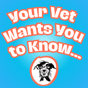 Your Vet Wants You to Know by Your Vet Wants You to Know