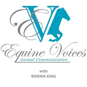 Equine Voices Podcast by Ronnie King