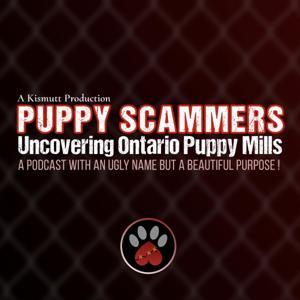 Puppy Scammers by Puppy Scammers