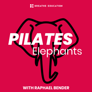 Pilates Elephants by Raphael Bender