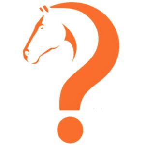 Curious Equestrian by Curious Equestrian, produced by Theresa McCaffrey, hosted by Anna Louise Claydon