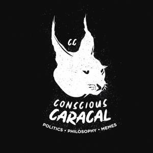 Stream of Consciousness by Ernst J. van Zyl