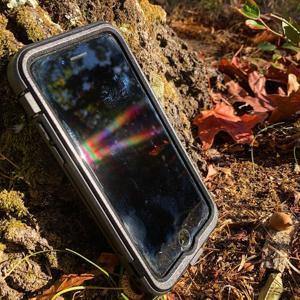 True Idiots of True Crime by Us