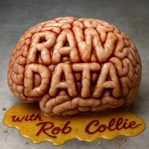 Raw Data with Rob Collie by P3 Adaptive