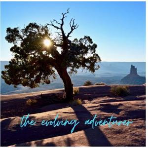 The Evolving Adventurer by gregii v