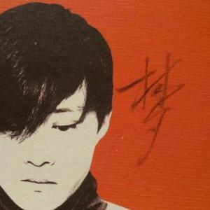 岛主桃花心木 by 岛主桃花心木