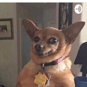 Funny School Stories by Funny school stories