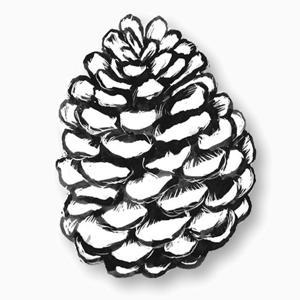 A Cape Cod Notebook by WCAI