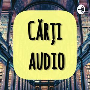 Am mai multe carti decat prieteni by Carti Audio