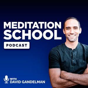 Meditation School Podcast by David Gandelman
