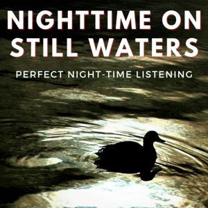 Nighttime on Still Waters by Richard Goode