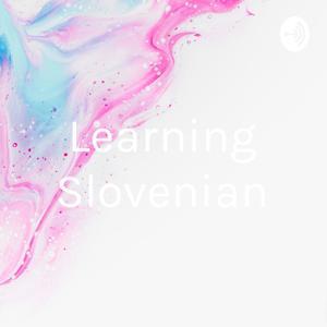 Learning Slovenian by Lawrence Squire