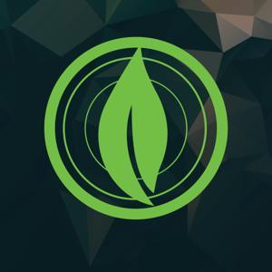 Live Life Church by livelife.church