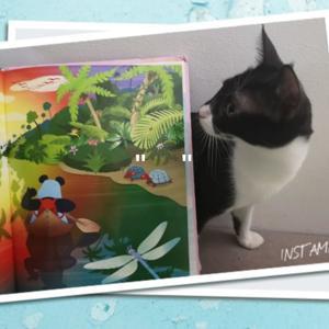 Сказка на ночь. Анастасия Поплавская by Anastasia Poplavskaya