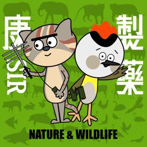 康Sir製藥 Nature & Wildlife by 鋁箔貓 & Flame鳥