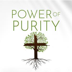 Power of Purity | Helping Men to Honor God with their Sexual Gift by Tony Ingrassia