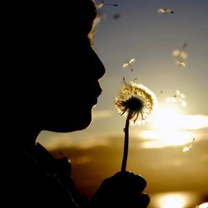 小耳朵听故事 by 桃子陶婷