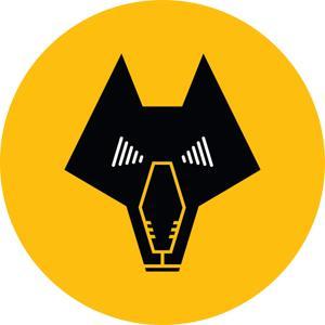 E&S Wolves Podcast by Express & Star