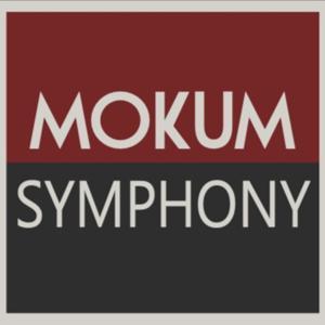 Beethoven's Complete String Quartets by Willem Stam