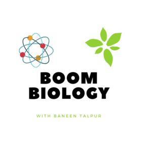 Boom Biology by Baneen Talpur