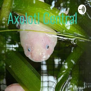 Axolotl Central by Sapphhire