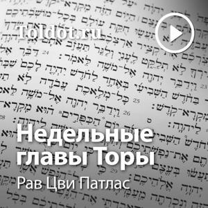 Рав Цви Патлас — Недельные главы Торы by toldot.com