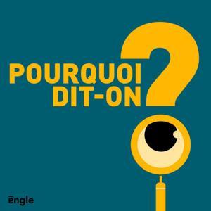 Pourquoi dit-on ? by Miguel Derennes