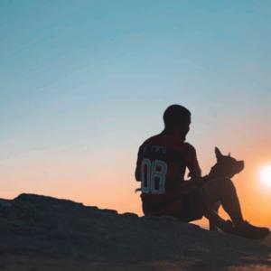 PitHorus by Jhonny Andrade