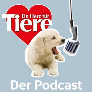 Ein Herz für Tiere - der Podcast by Manuela Bauer, Heike Reinhardt, Petra Schurer, Viktoria Schütze, Julia Kainz, Hot Summer Day - GEMAfreie Musik von https://audiohub.de