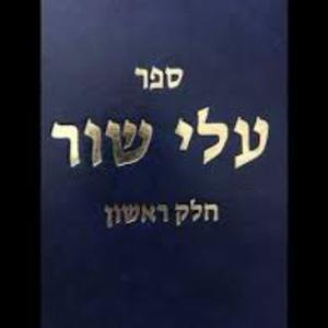 The Alei Shur Podcast with Dovid Y. Kornreich by JewishPodcasts.fm