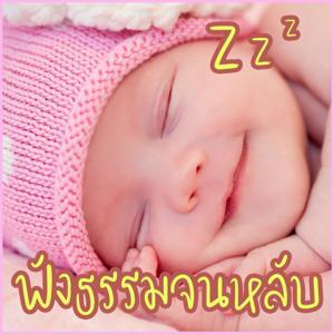 ฟังธรรมะก่อนนอน ใครชอบนอนฟังธรรมะแล้วหลับ จะเกิดอานิสงส์ได้บุญมาก by Dhamma Lover