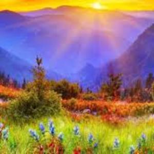 豐盛21天冥想 by JASMINE