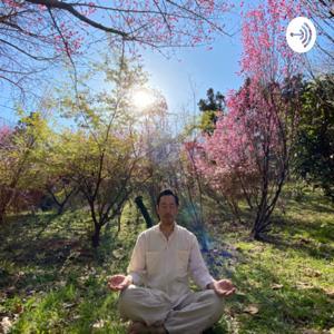 倍音ラジオ by aoyama masaaki