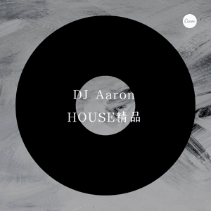 档次车载震撼HOUSE DJ Aaron by DJ丶Aaron丿