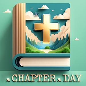 A Chapter a Day Bible Reading by Rev Sean Conry